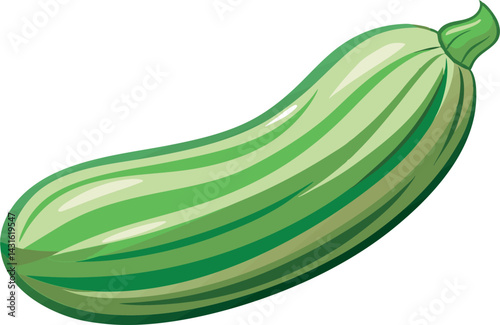 A vibrant vector art illustration of a delicious fruit zucchini, showcasing fresh colors, smooth texture, and appetizing, realistic detail.