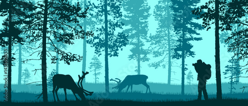 Beautiful flat vector forest landscape with a hiker taking picture of deer in blue colors.