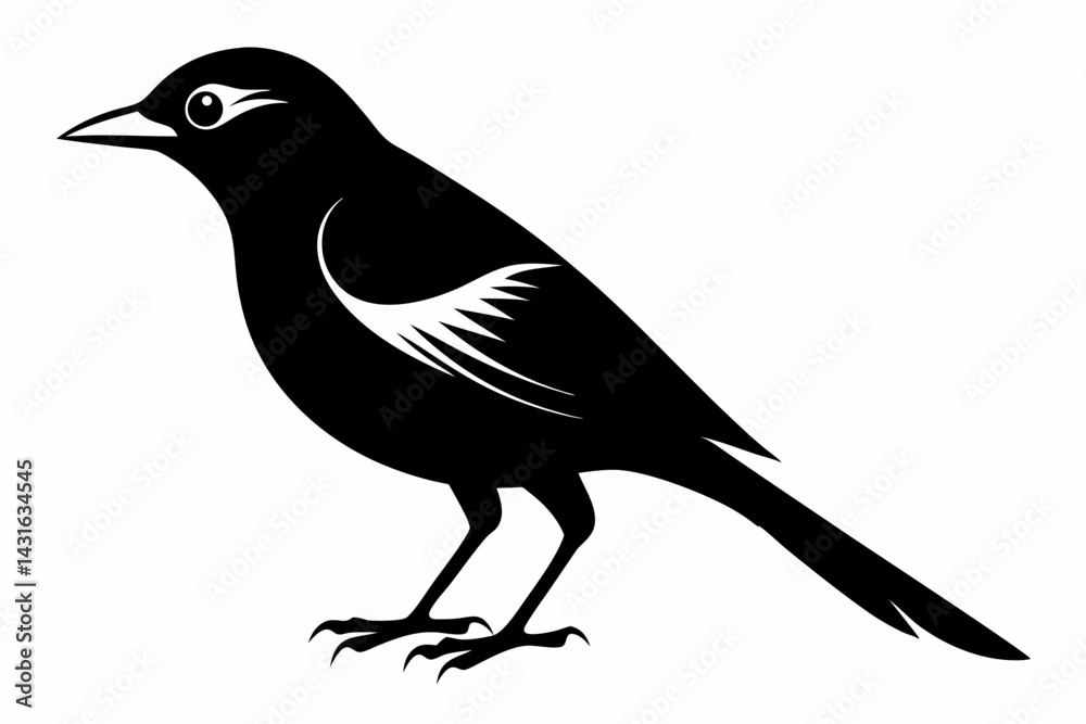 Fototapeta premium shrike sihouette black vector