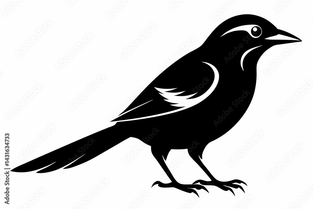 Fototapeta premium shrike sihouette black vector