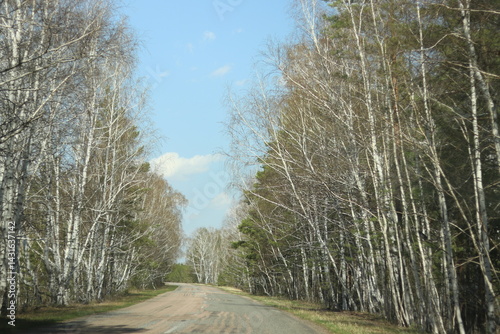 road in the forest