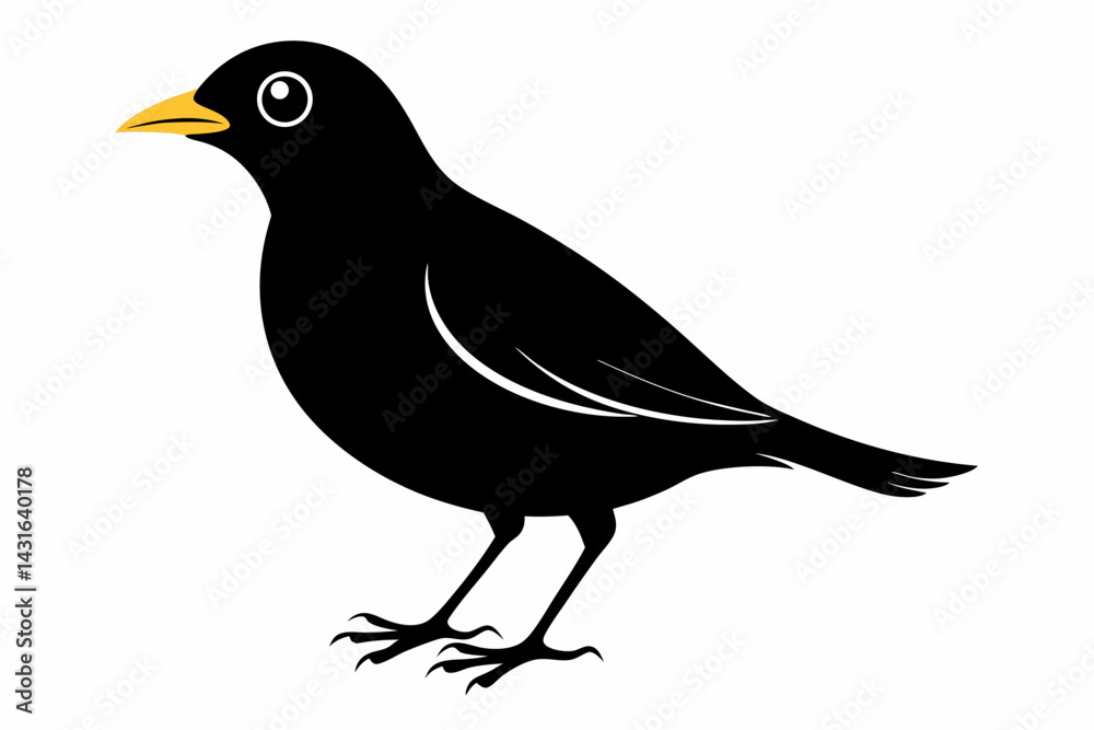 Fototapeta premium mynah sihouette black vector