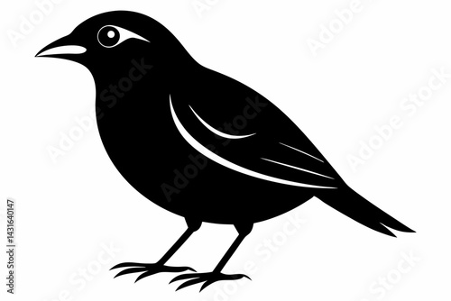 mynah sihouette black vector