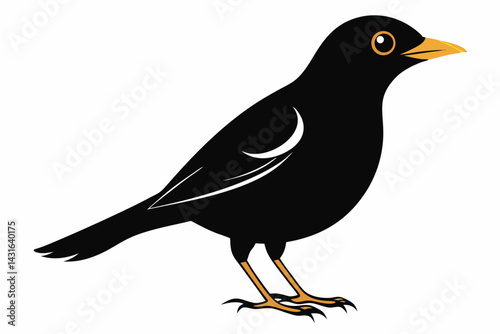 mynah sihouette black vector