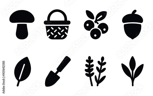 Forest foraging icons set – solid style nature, harvest, and botanical symbols for outdoor enthusiasts: mushroom, basket, berries, acorn, leaf, shovel, herbs, plant