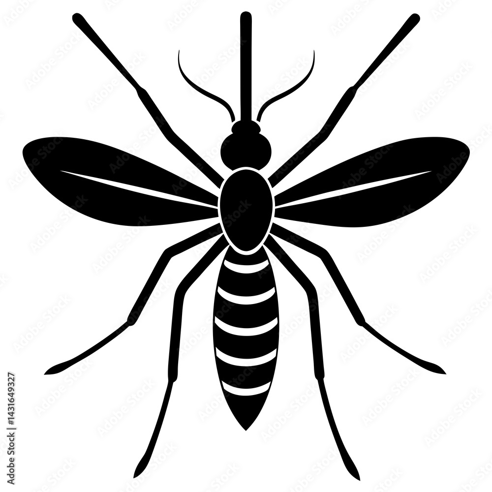 Fototapeta premium Animal Mosquito silhouette vector illustrator 