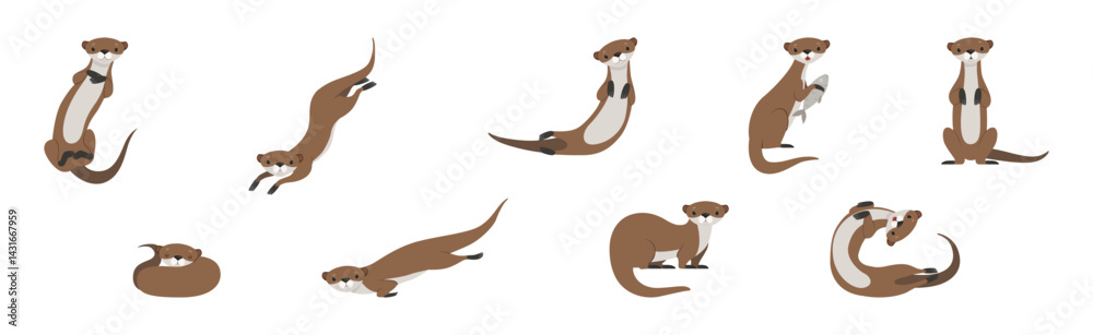 Obraz premium Sea Otter as Marine Mammal and Aquatic Creature with Brown Coat Vector Set