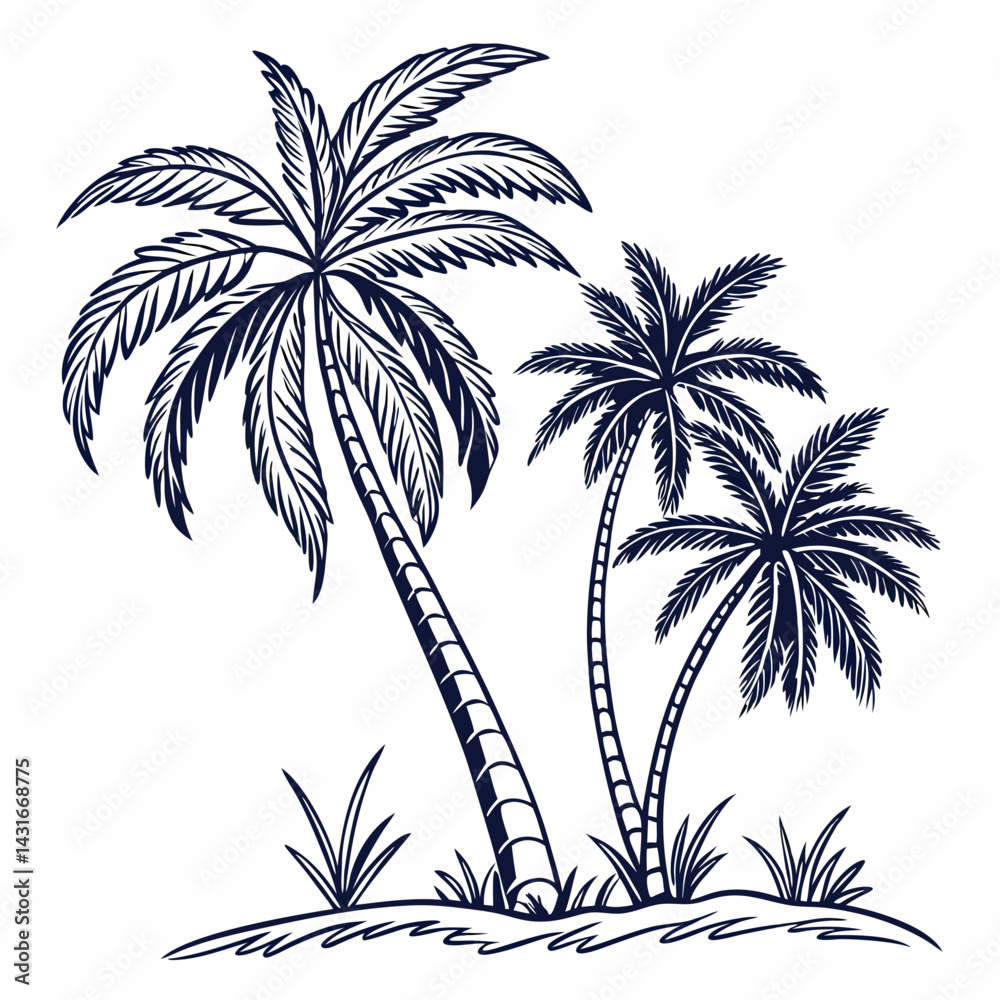 Fototapeta premium Palm tree line art vector isolated on white background
