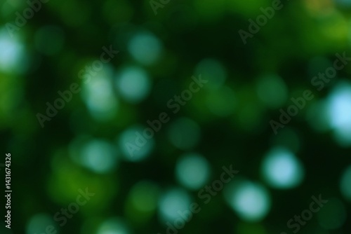 Abstract Forest Canopy Bokeh with Vivid Green and Soft Light Spheres