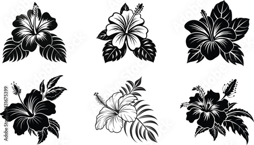 set of black and white hibiscus flowers silhouette in vector format