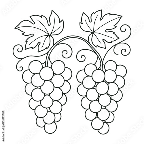 Black and white grape cluster with vine leaves – botanical vector illustration in minimalist line art style, perfect for coloring books and decor, Adobe Illustrator Artwork