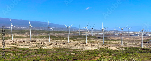 Wallpaper Mural Wind turbines generating electricity in Montana Pelada, Tenerife, Canary Islands,Spain.Sustainable renewable green energy concept.Banner for design. Torontodigital.ca