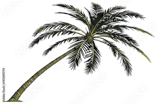 18 Realistic palm tree, isolated on white background, detailed fronds, tall trunk, tropical vegetation, botanical illustration, high resolution, photorealistic, single tree, lush green foliage, symmet