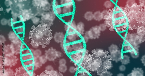 Image of dna strands and virus cells on black background photo