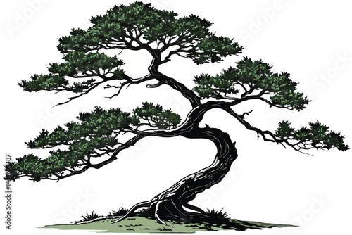 23 bonsai tree, curved trunk, green foliage, white background, isolated, botanical illustration, detailed branches, Japanese art style, miniature tree, zen garden, natural texture, artistic compositio