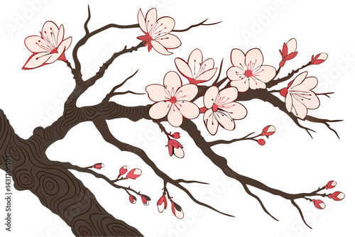 24 Cherry blossom branch, blooming pink flowers, gnarled wood texture, intricate tree bark details, delicate petals, spring blossoms, botanical illustration, white background, nature art, Japanese-ins