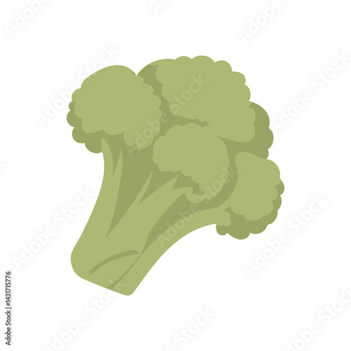 Green broccoli in flat design. Vegetarian food product, organic vegetable. Vector illustration isolated.