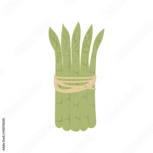 Green asparagus bunch in flat design. Seasoning vegetarian food product. Vector illustration isolated.