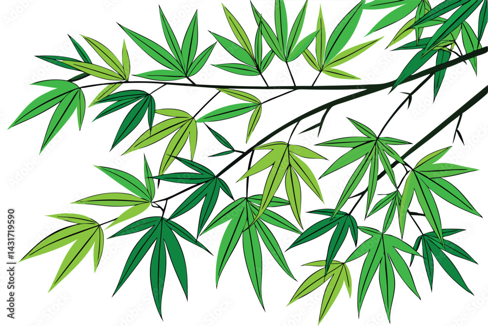 Fototapeta premium 26 Vibrant green bamboo leaves, X-shaped composition, Isolated on white background, Crisp details, High contrast, Botanical illustration style, Fresh and lively, Close-up view, Zen-inspired, Minimalis