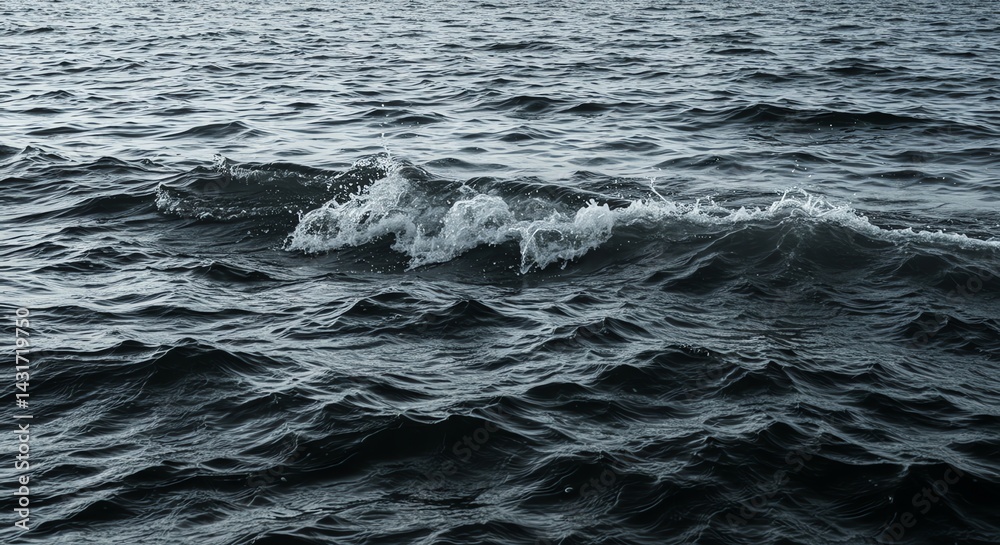 Fototapeta premium Ocean Waves Dramatic Monochromatic Seascape Photography