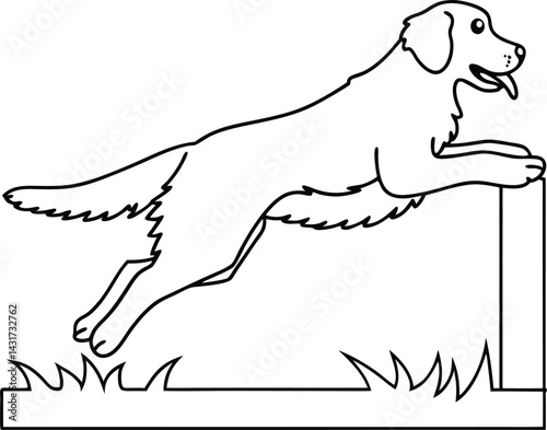 Dynamic Dog Agility Training: Golden Retriever Canine Leaping Over Hurdle in Outline Vector