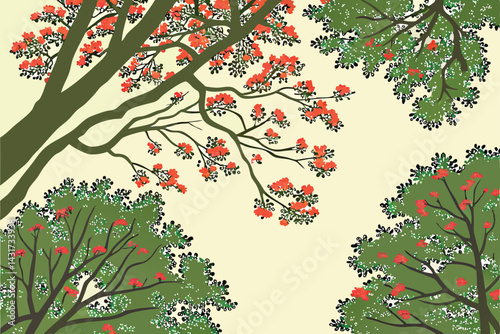 34 Aerial view, lush tree canopy, dense foliage, red blossoms, green leaves, circular shape, forest from above, treetop perspective, vibrant colors, natural pattern, organic texture, botanical imagery