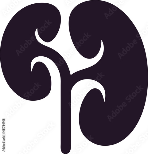 Kidney Icon