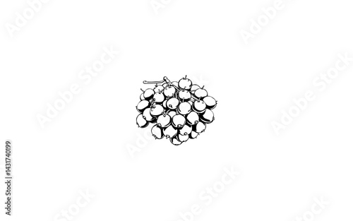 Baccaurea – AI-Enhanced Clustered Round Fruit with Smooth Skin and Segmented Interior