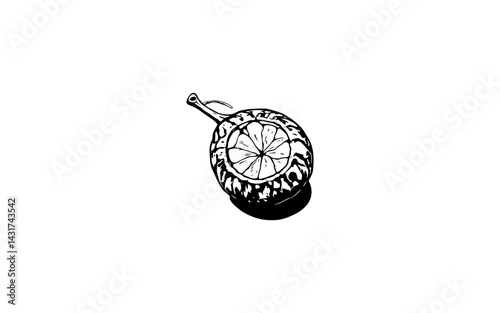 Bael – AI-Stylized Cracked Woody Fruit with Fibrous Inner Pulp