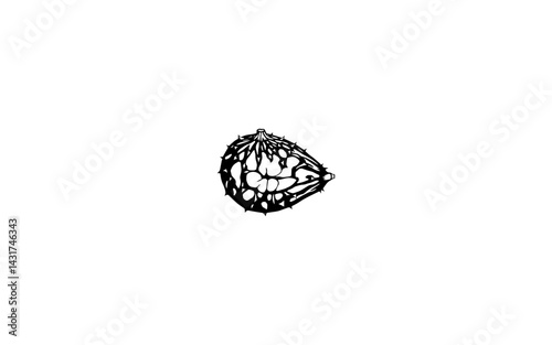  Barbary Fig – AI-Rendered Cactus Fruit with Juicy Interior and Spiny Texture