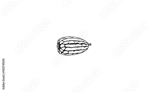 Barringtonia Fruit – AI-Generated Boxy Fruit with Ribbed Edges and Thick Outer Shell