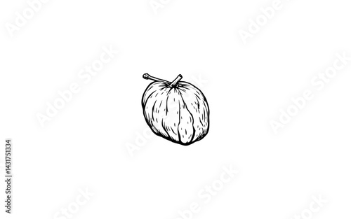 Beech Nut Fruit – AI-Stylized Triangular Nut-Like Fruit with Hard Shell