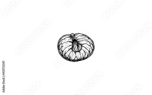 Beilschmiedia Fruit – AI-Styled Woody Oval Drupe with Fibrous Core and Natural Outline