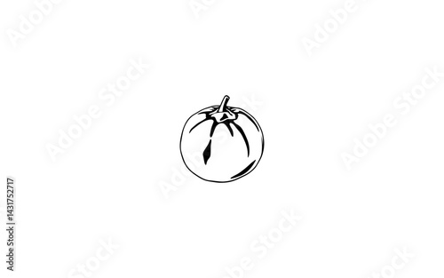 Ben Oil Fruit – AI-Enhanced Botanical Line Art Rendering