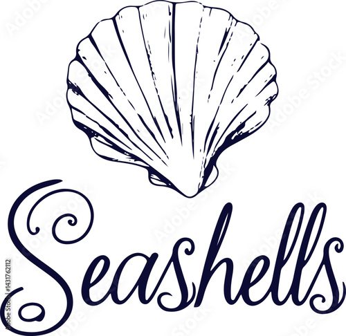 vector illustration of a seashell and text that says seashell