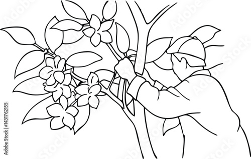 Gardener Pruning Flowers On A Tree Branch Line Art Illustration