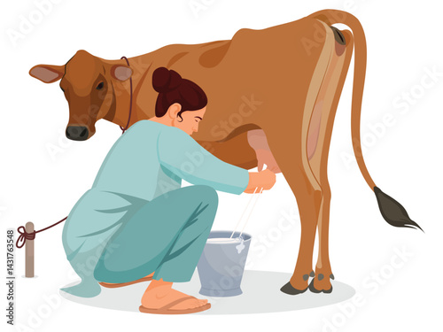 Indian woman milking cow, In traditional look milking cow, village woman milking a cow in the outdoor