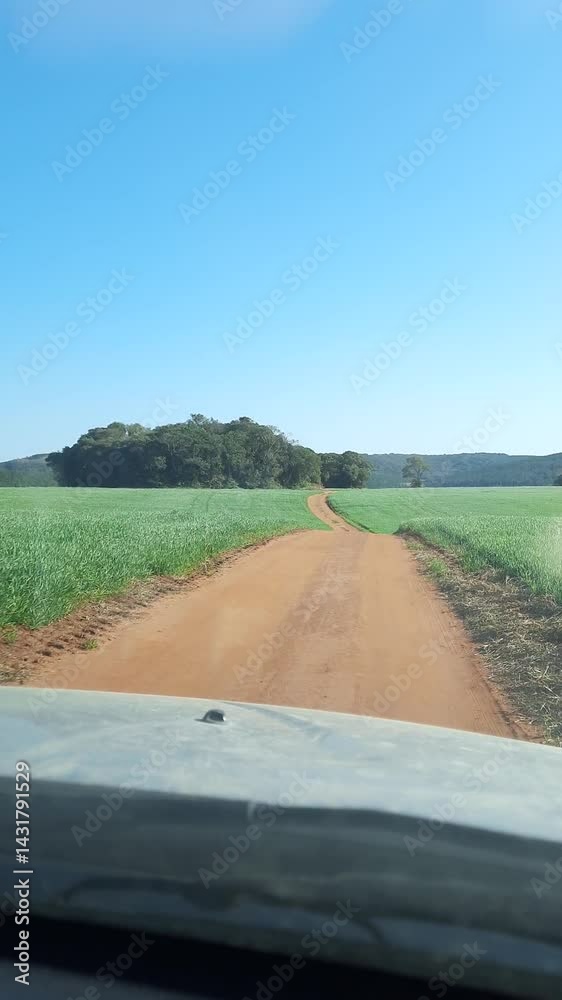 carro em estrada sem pavimentação 
