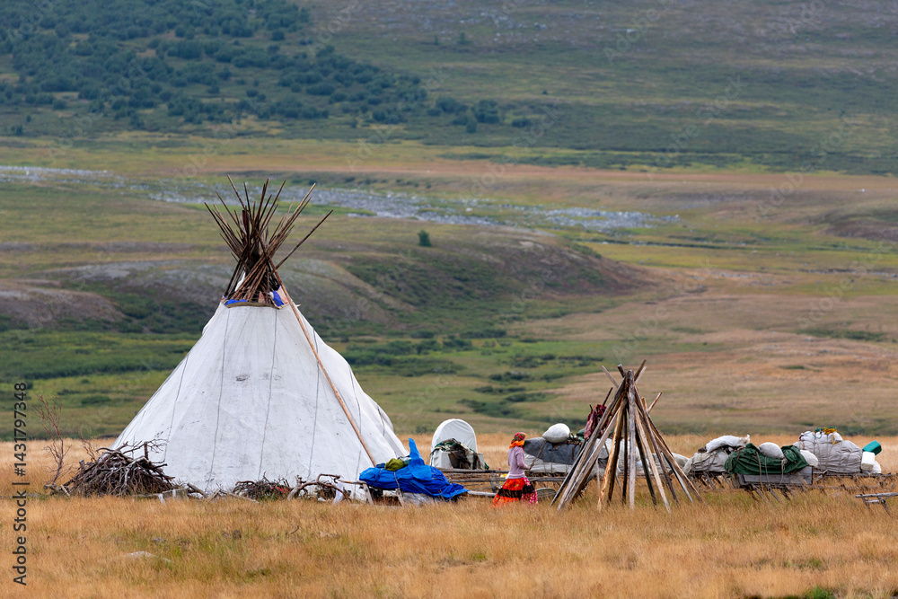 Nenets reindeer herders choom on a summer. Russia, Yamal