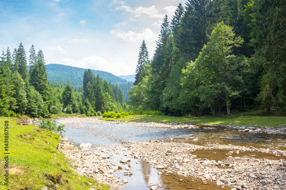 mountainous landscape of ukraine with tereblya river. forest on the hill along the grassy shore. scenery beneath a blue sky with clouds on a sunny day in summer. outdoor adventure and recreation