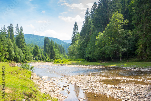 Obraz na płótnie mountainous landscape of ukraine with tereblya river. forest on the hill along the grassy shore. scenery beneath a blue sky with clouds on a sunny day in summer. outdoor adventure and recreation w salonie