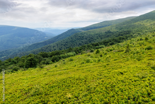 alpine scenery of ukrainian carpathians in summer. mountain smooth also called runa. rolling landscape beneath an overcast sky. rainy weather forecast. view in to valley from steep grassy slope