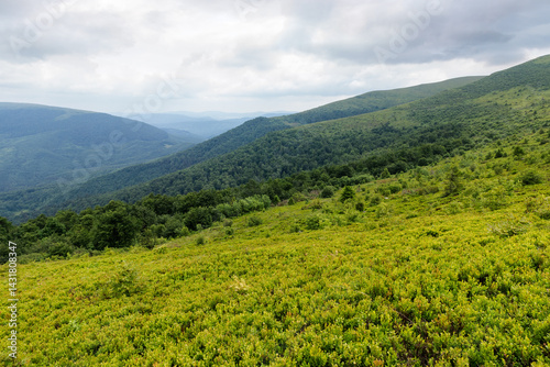 Obraz na płótnie alpine scenery of ukrainian carpathians in summer. mountain smooth also called runa. rolling landscape beneath an overcast sky. rainy weather forecast. cold storm meteorology background w salonie