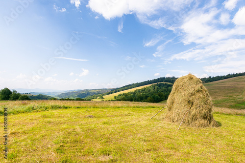 rural scenery of transcarpathia in summer. alpine pasture. haystack on the grassy field. mountainous countryside landscape of ukraine on a sunny afternoon. outdoor adventure. blue sky with clouds