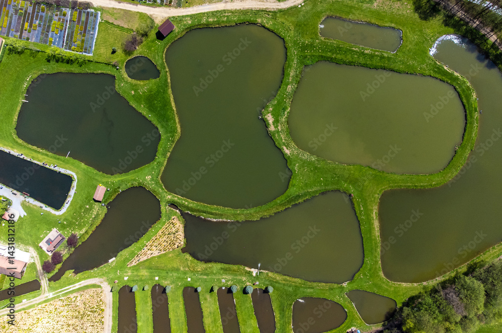 Many lakes of a fish farm seen from above