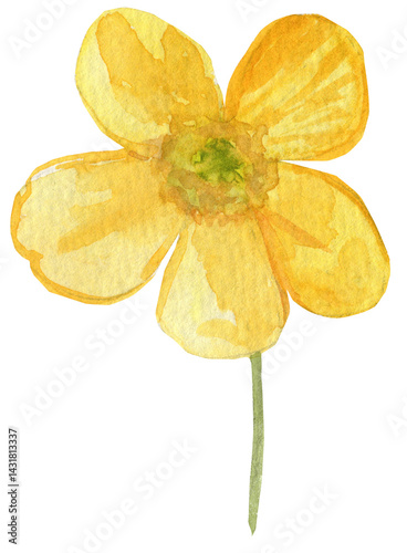 Watercolor illustration of a buttercup flower, featuring bright yellow petals and a vibrant, cheerful appearance. Ideal for nature-inspired designs, spring or summer-themed projects, and floral art.