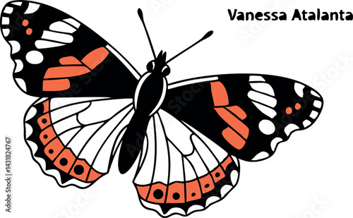 Vanessa Atalanta Butterfly Vector Art. Detailed Insect Design.