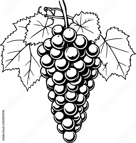 A Detailed Line Drawing Of A Lush Grape Bunch With Leaves