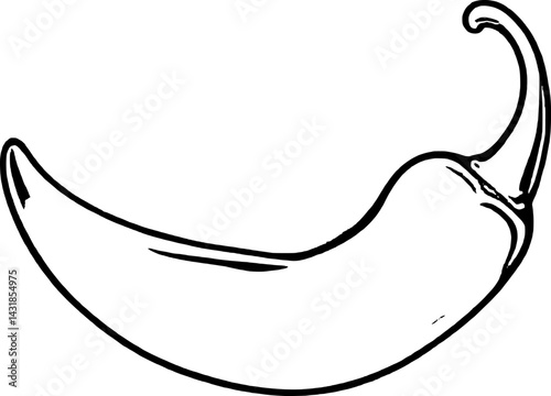 Single Green Chili Pepper Line Art Illustration