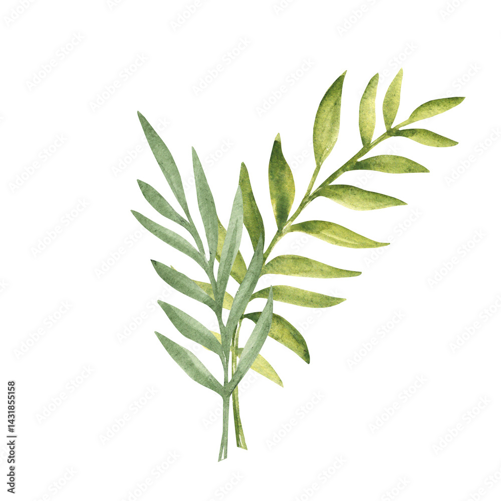 Obraz premium Tropical Leaves Composition. Eucalyptus and Palm Watercolor Bouquet. Hand drawn botanical illustration isolated on white background. For cards, invitations, posters and prints.